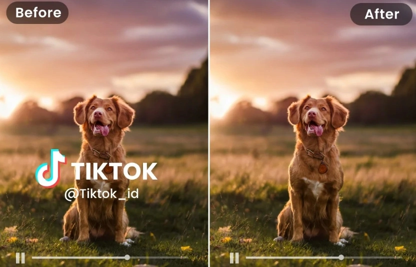 Remove Watermark from TikTok Video Online Free