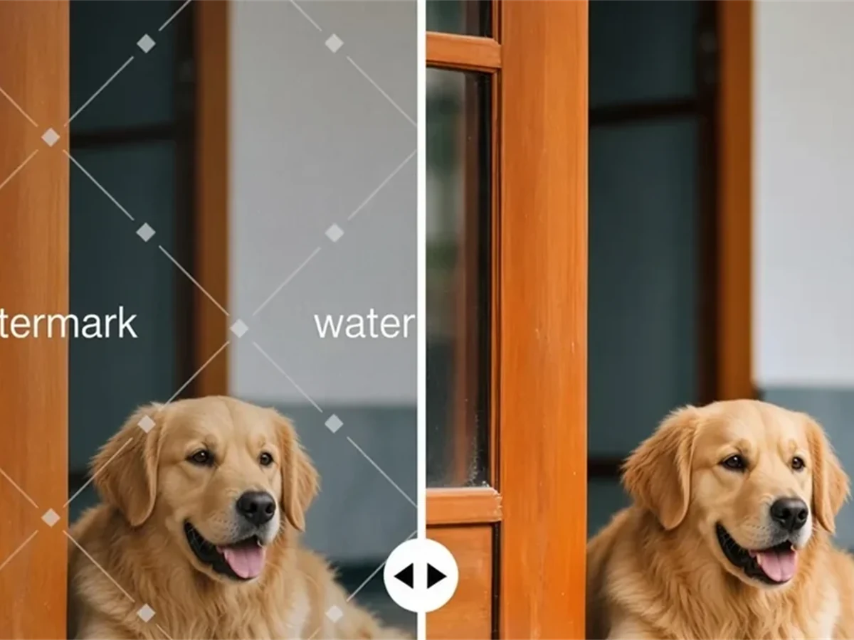 Remover de filigrane AI gratuit à partir de l'image en ligne